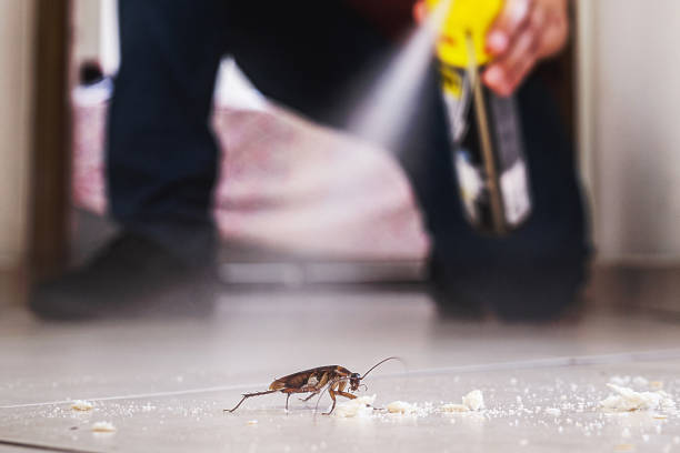 Best Commercial Pest Control Services  in Littlestown, PA