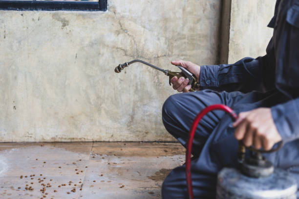 Best Pest Inspection Near Me  in Littlestown, PA